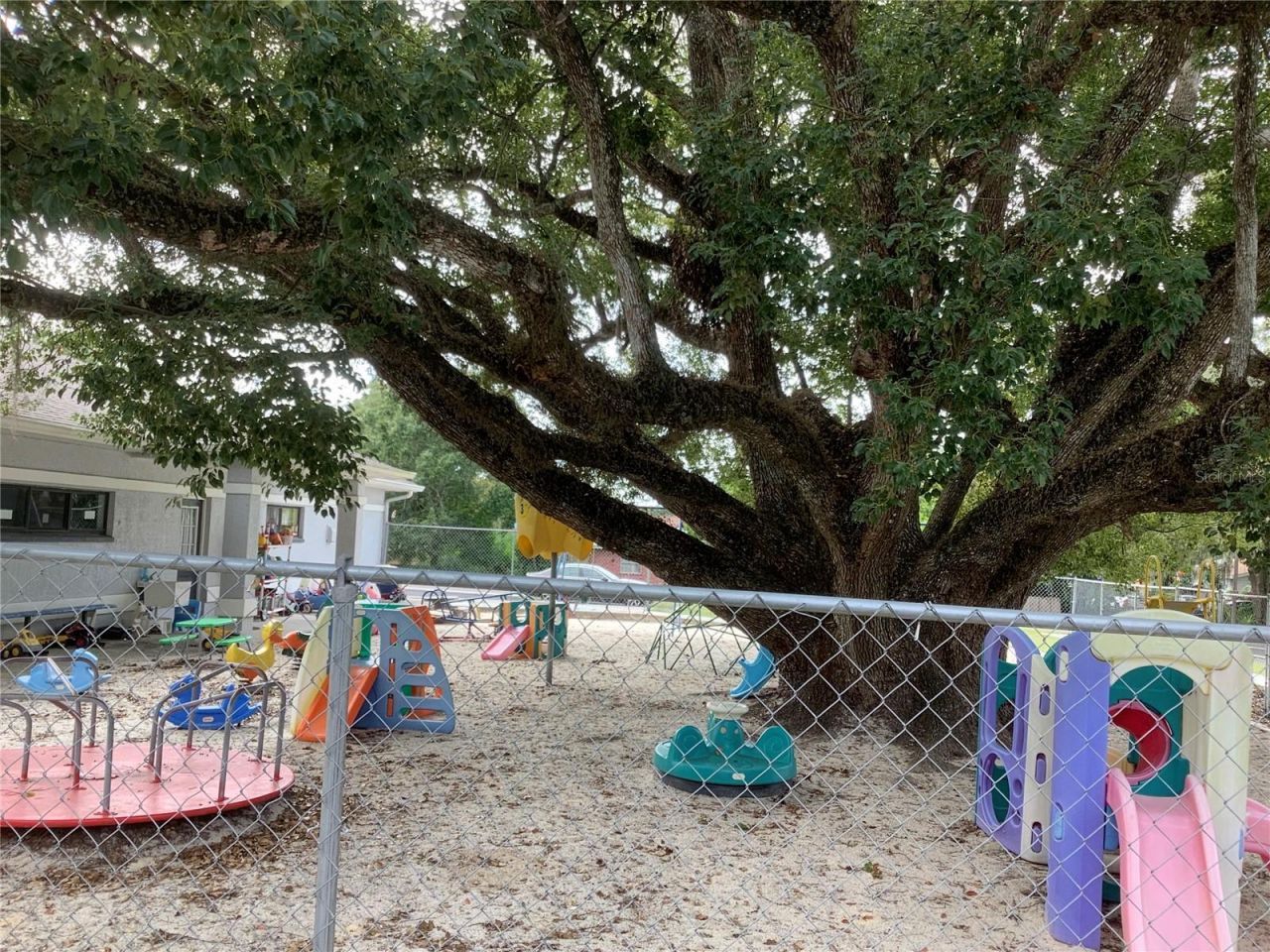 5814 8th St, Zephyrhills, FL 33542 Photo