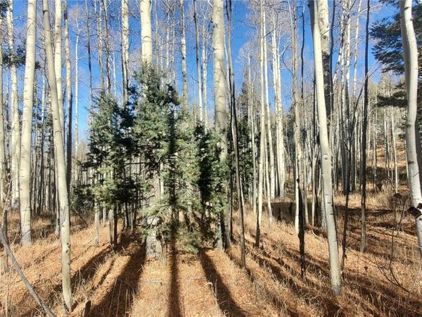 Lot 6060 Forbes Road, San Luis, CO 81152