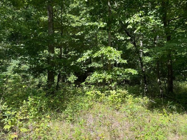 0 Roaring Creek Road, Dunlap, TN 37327