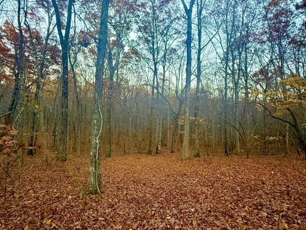 0 Deep Woods Rd, Sewanee, TN 37375