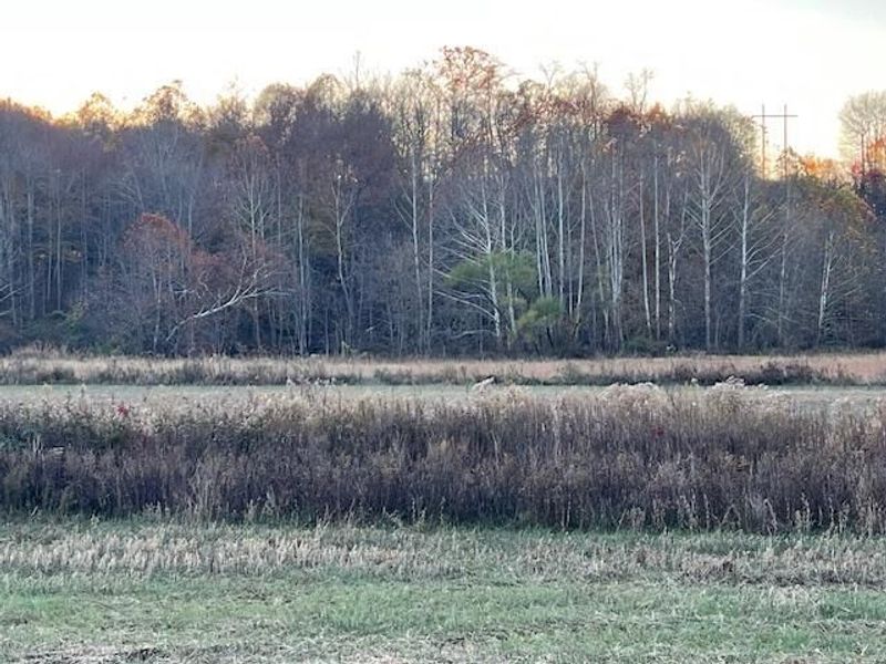 0 Barnes Lane, Chillicothe, OH 45601 Photo 4