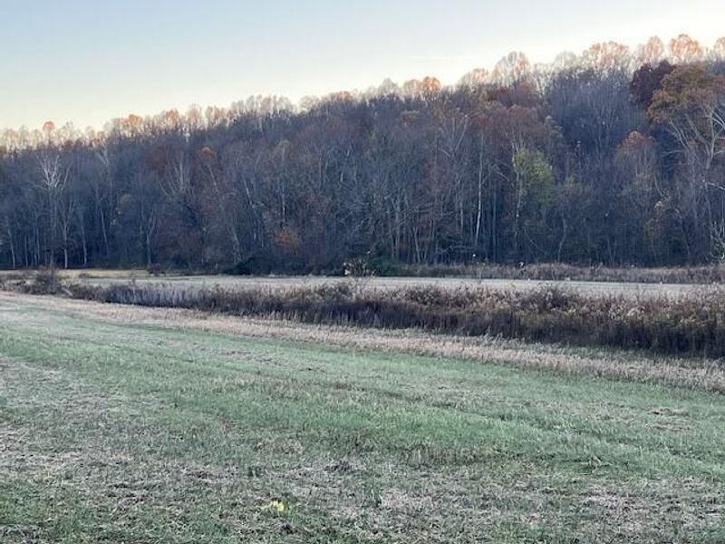 0 Barnes Lane, Chillicothe, OH 45601 Photo 5