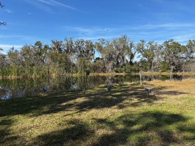 53 N Archwood Drive, Inverness, FL 34450 Photo