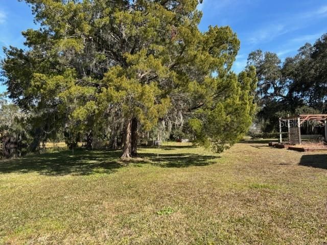 53 N Archwood Drive, Inverness, FL 34450 Photo