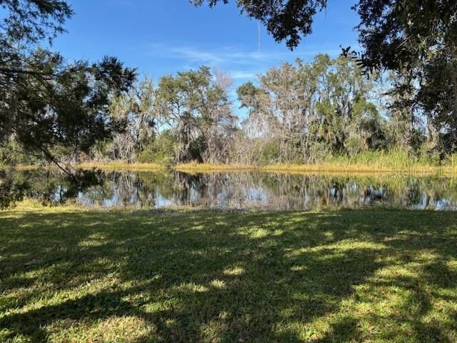 53 N Archwood Drive, Inverness, FL 34450 Photo