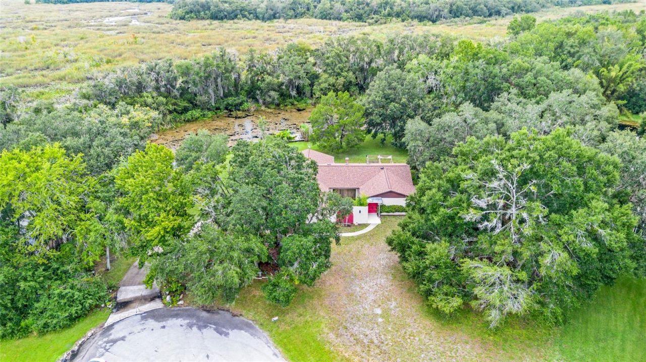 53 N Archwood Drive, Inverness, FL 34450 Photo