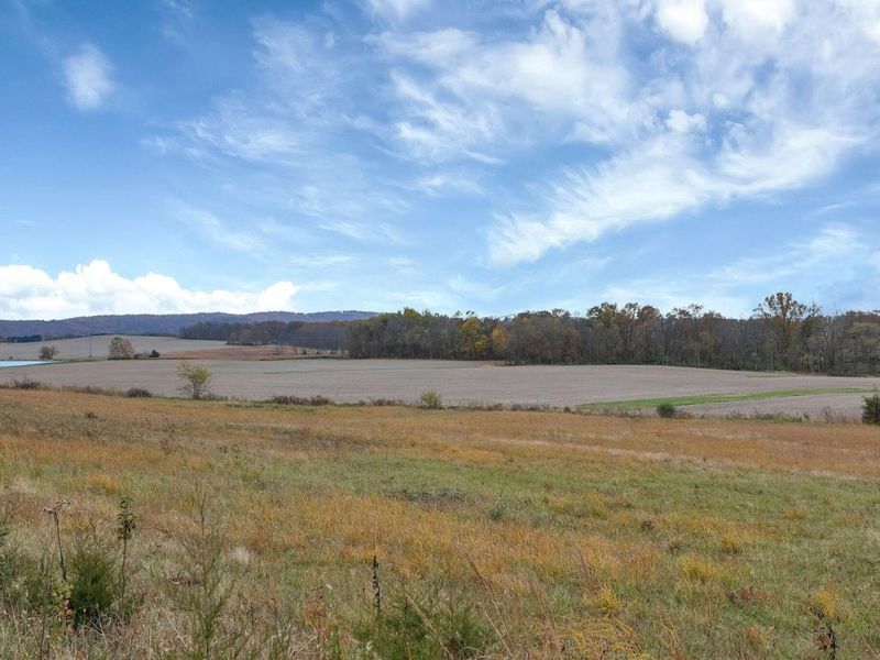 10217 County Road 550, Chillicothe, OH 45601 Photo 5