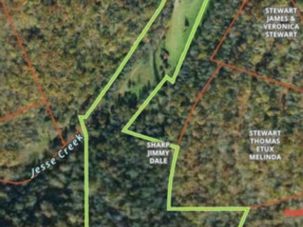 Stewart Lane S/O Lane, Pall Mall, TN 38577