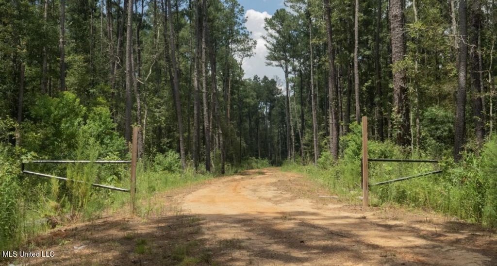 Ebenezer Church Road, Bassfield, MS 39421 Main Photo