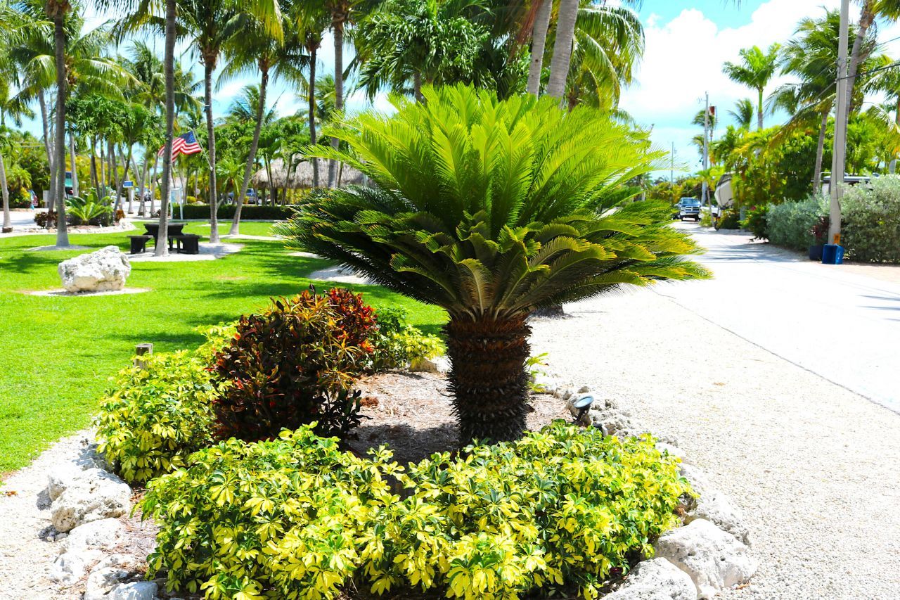 2950 Overseas Highway, Lot #2, Saddle Bunch, FL 33040 Photo