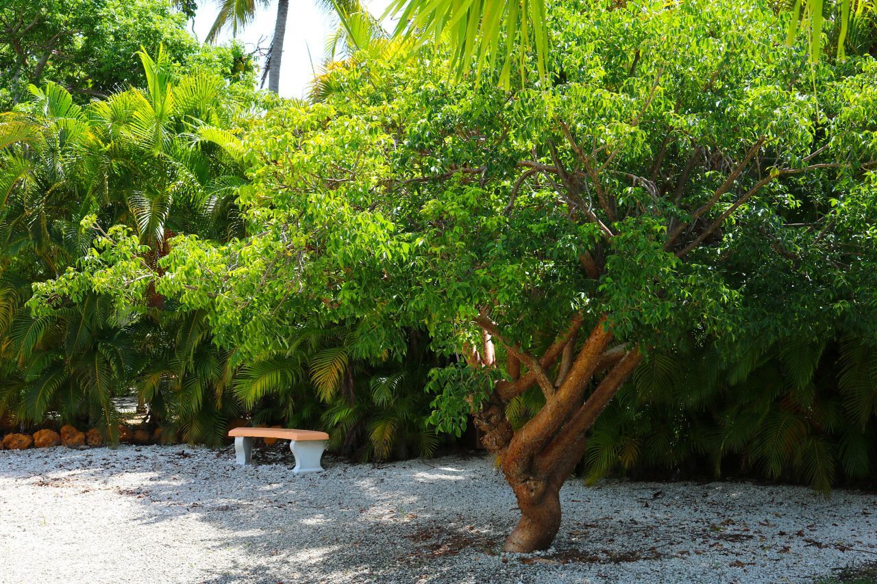 2950 Overseas Highway, Lot #2, Saddle Bunch, FL 33040 Photo