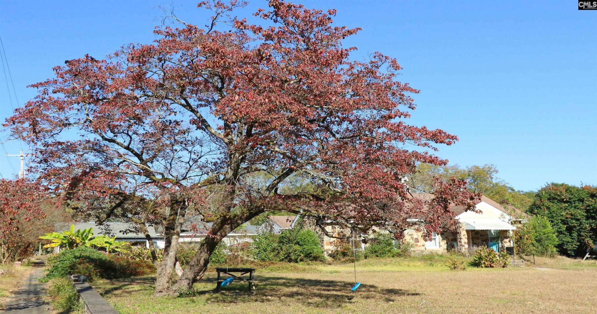 181 Louie Street Photo 17