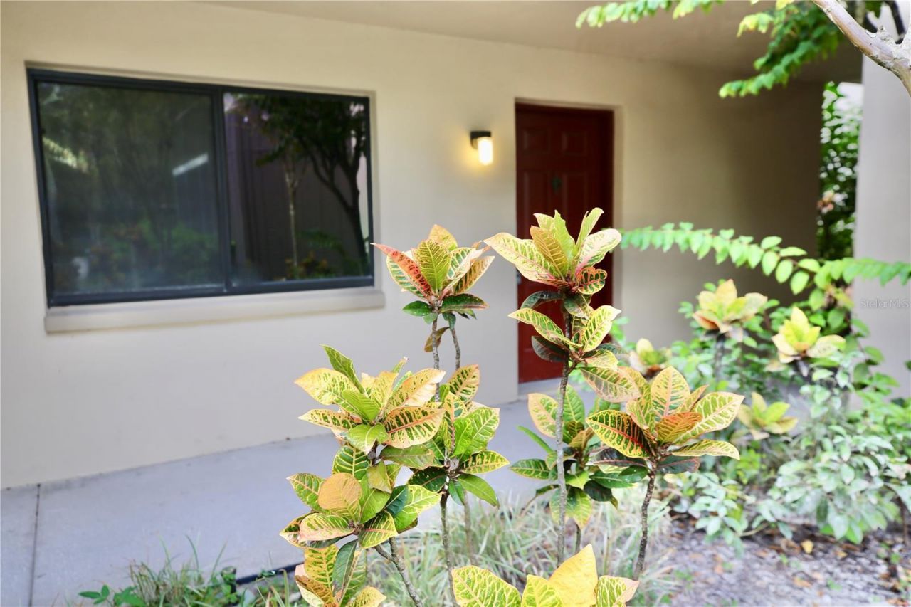 11702 Raintree Village Boulevard, Unit B, Temple Terrace, FL 33617 Main Photo