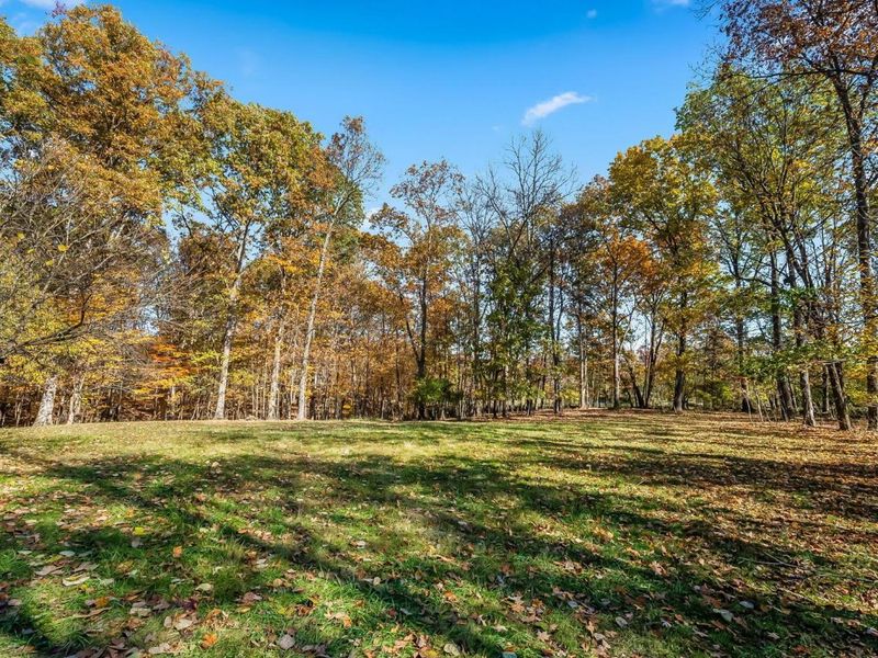 9353 Knoll Drive, Galena, OH 43021 Photo 56