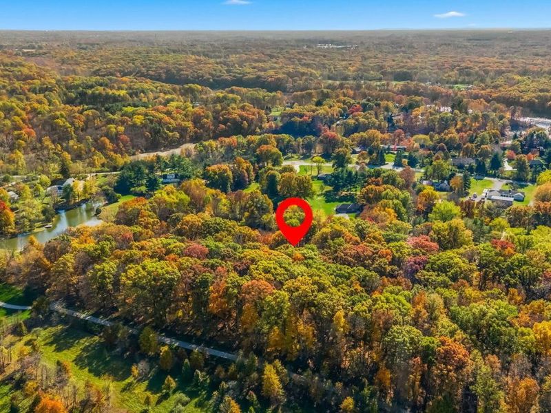 9353 Knoll Drive, Galena, OH 43021 Photo 59