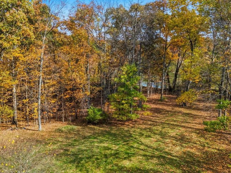 9353 Knoll Drive, Galena, OH 43021 Photo 60