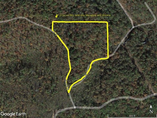 229 Mayapple Road , Harriet, AR 72639