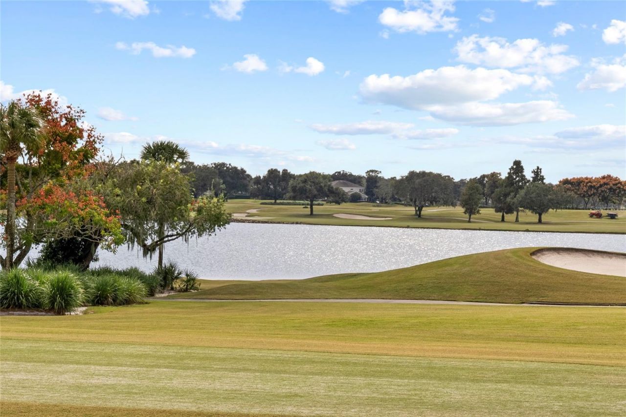 5558 Brookline Drive, Orlando, FL 32819 Photo