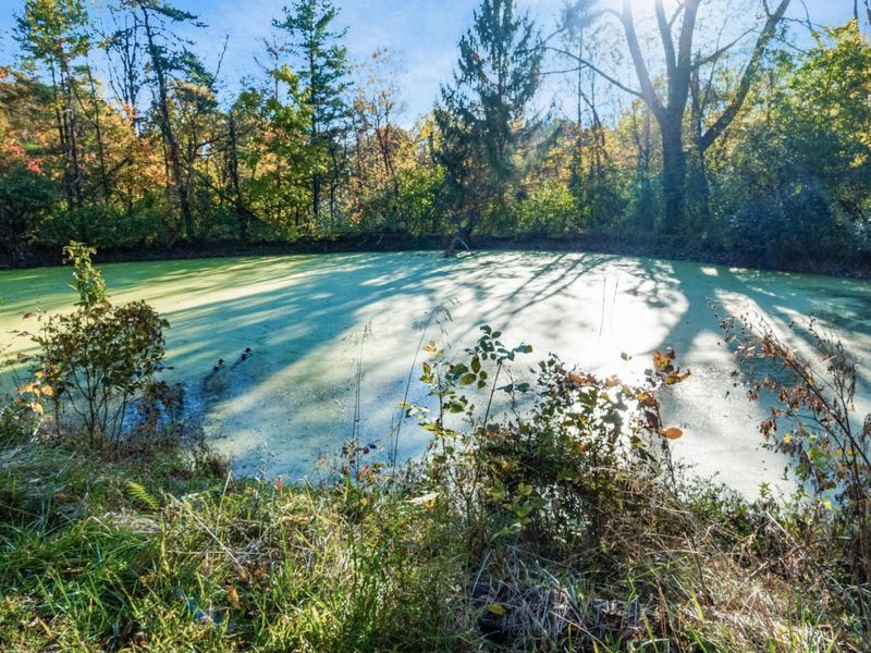 4220 E Johnstown Road, Columbus, OH 43230 Photo 11