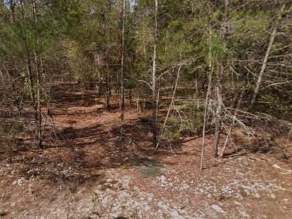 SE 5TH AVENUE, INTERLACHEN, FL 32148