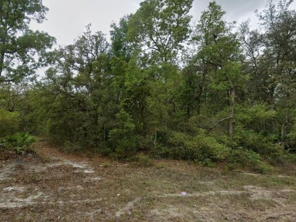 HIGHLINE TRAIL, SATSUMA, FL 32189