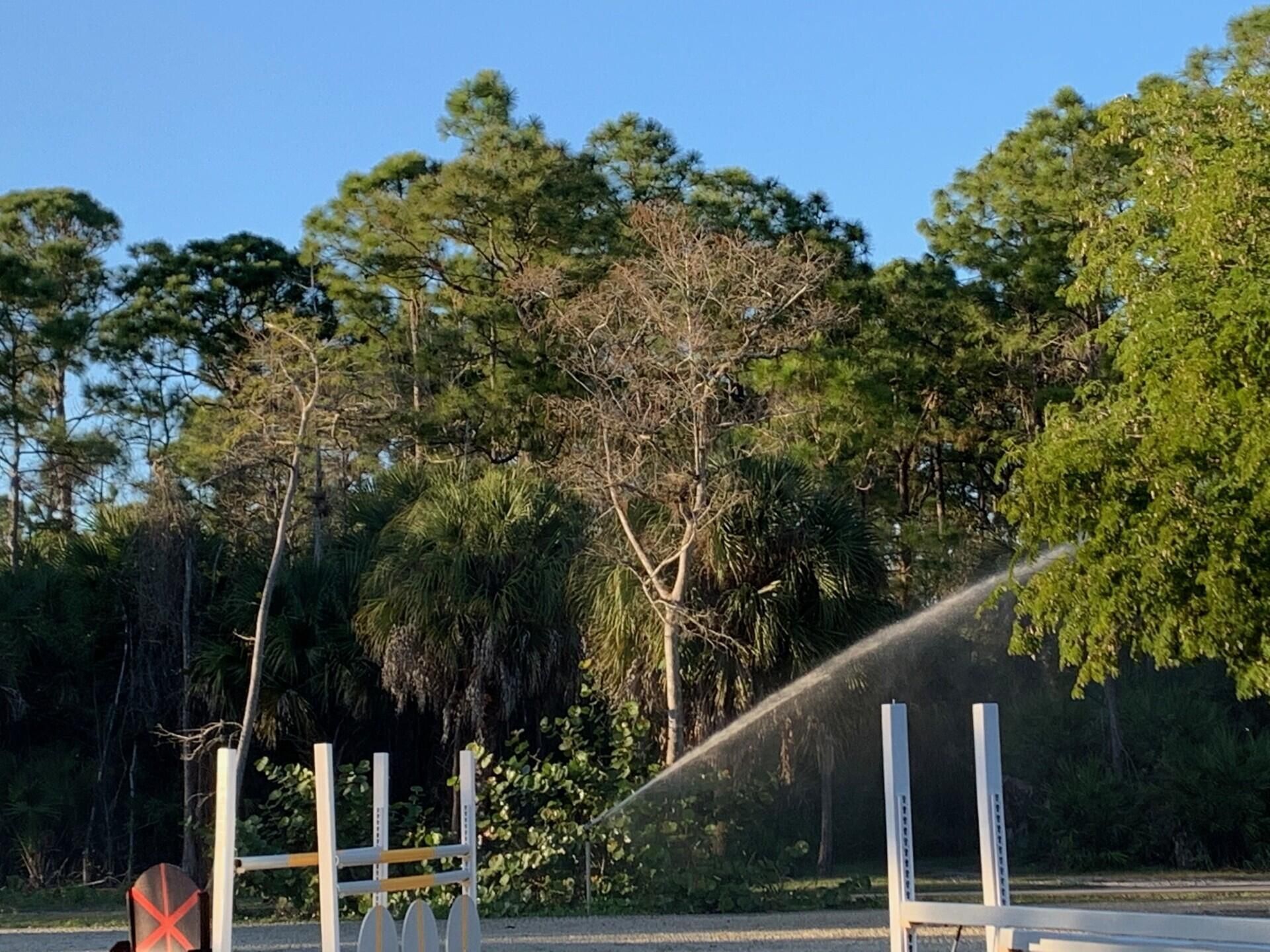 1711 Stallion Drive, Loxahatchee, FL 33470 Photo