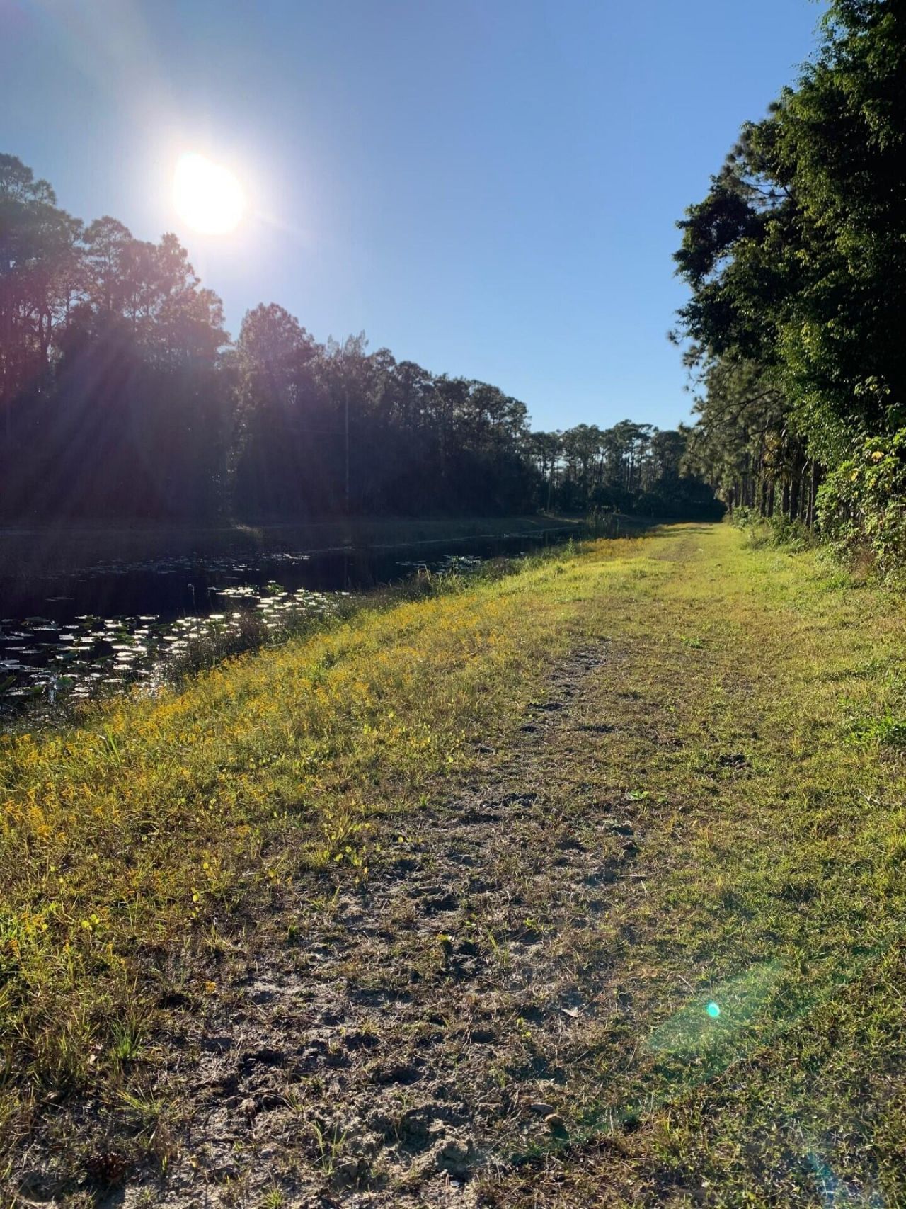 1711 Stallion Drive, Loxahatchee, FL 33470 Photo