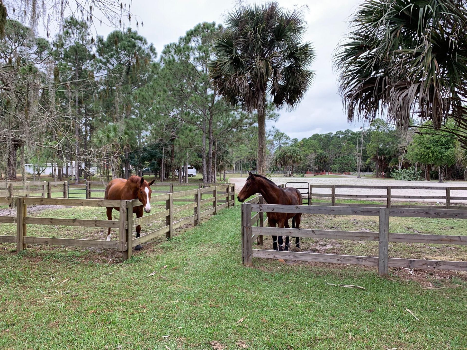 1711 Stallion Drive, Loxahatchee, FL 33470 Photo