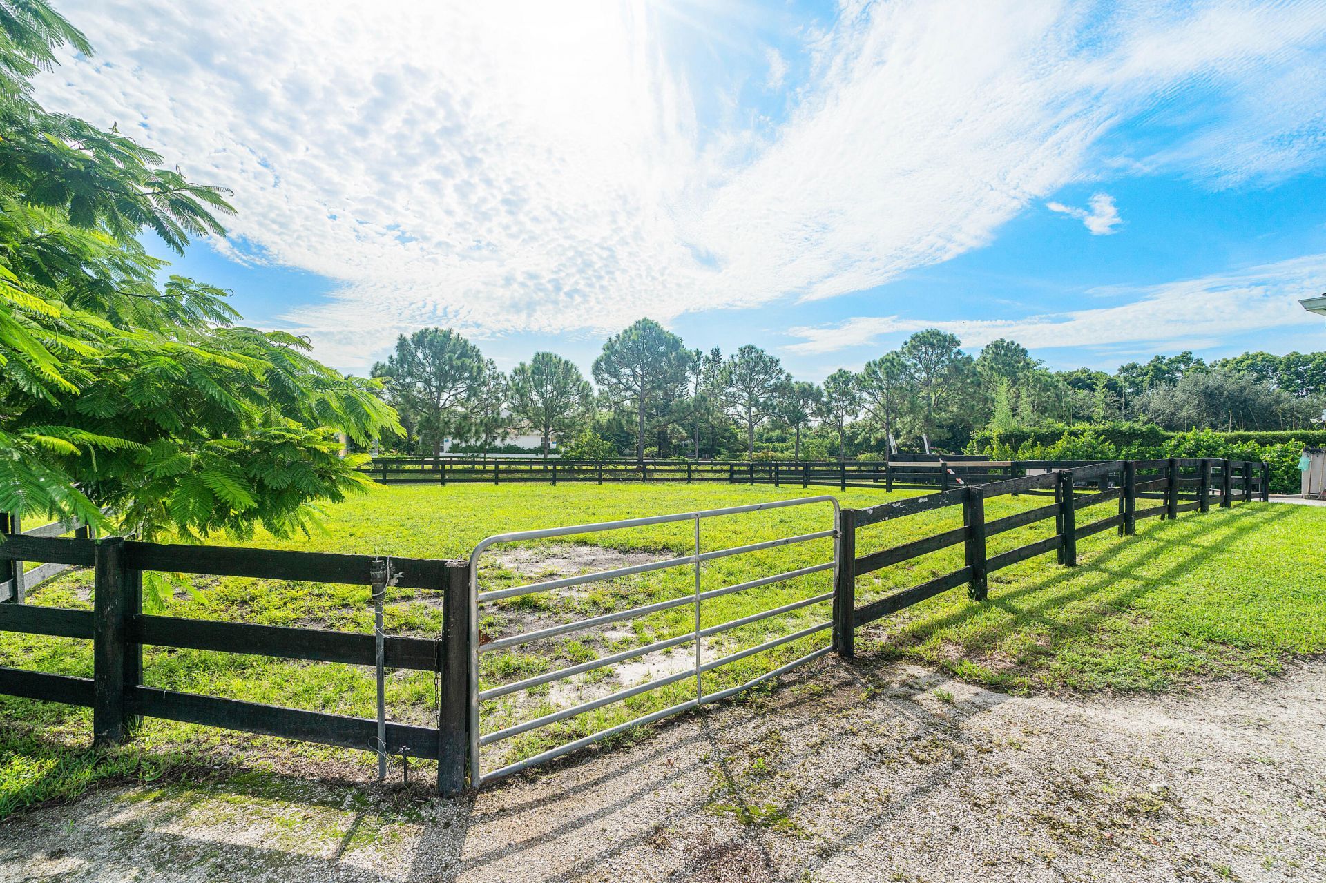 2080 Canter Way, Wellington, FL 33414 Photo