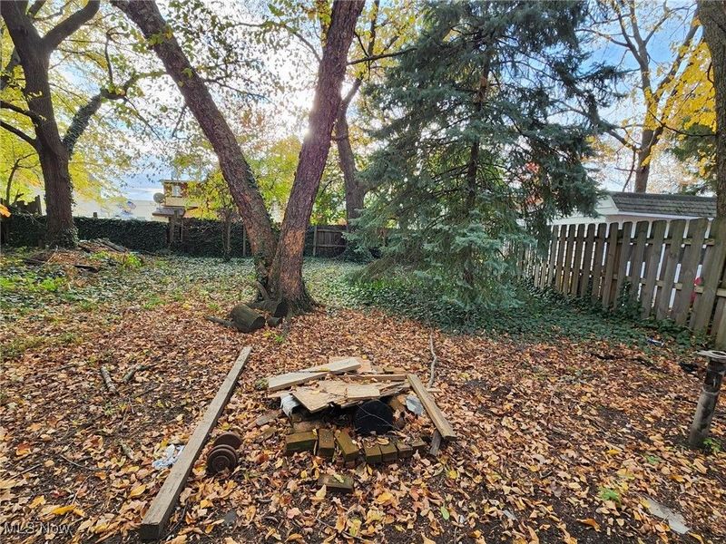 1432 E 52nd Street, Cleveland, OH 44103 Photo 4