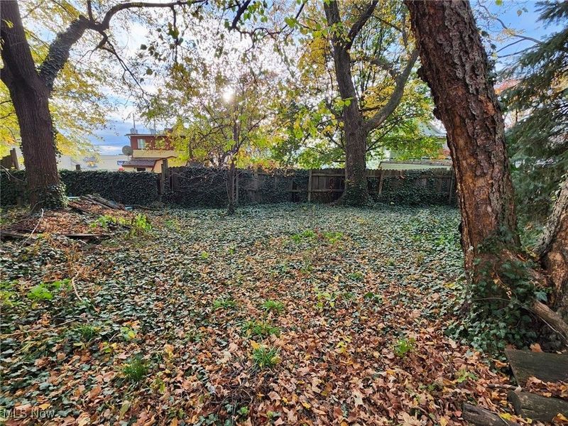 1432 E 52nd Street, Cleveland, OH 44103 Photo 5