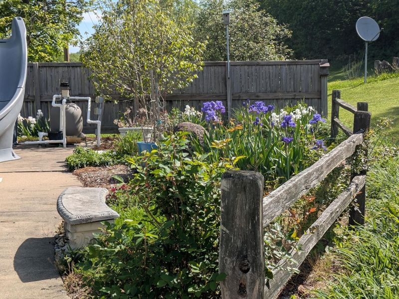 4172 Junior Furnace Powellsville Road, Franklin Furnace, OH 45629 Photo 63