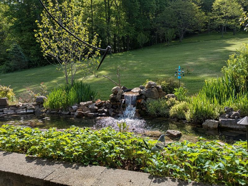 4172 Junior Furnace Powellsville Road, Franklin Furnace, OH 45629 Photo 67