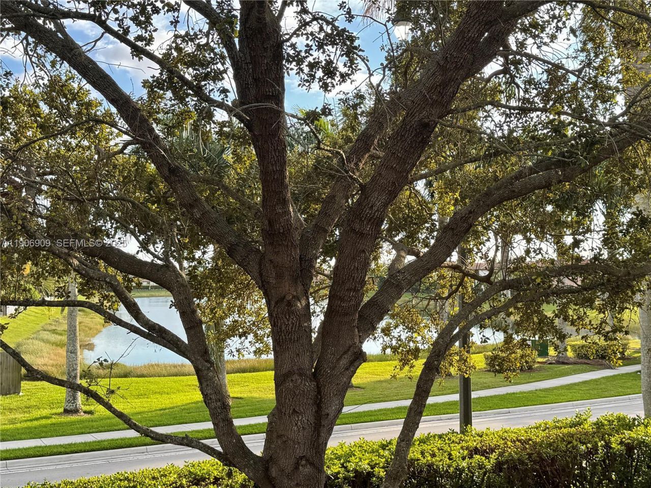 2590 NE 3rd Dr, Unit 203, Homestead, FL 33033 Photo