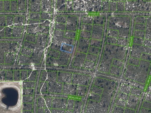 431 Lucille Lane, Lake Placid, FL 33852