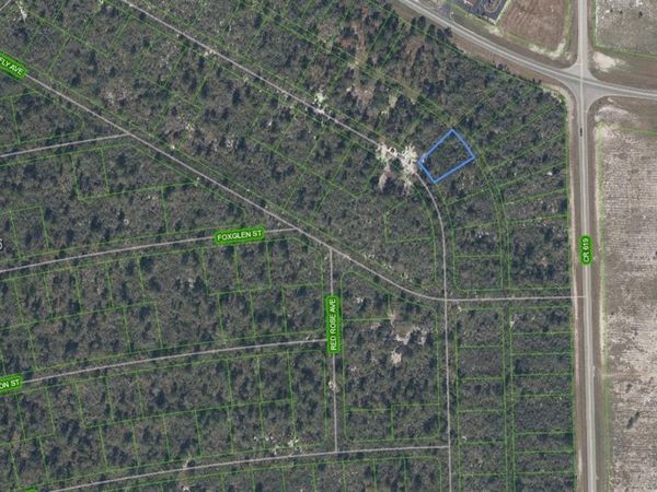 556 Ebbtide, Lake Placid, FL 33852