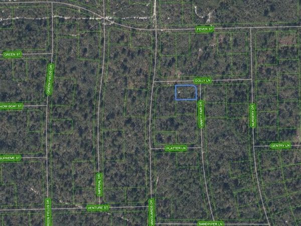 305 Dolly Lane, Lake Placid, FL 33852