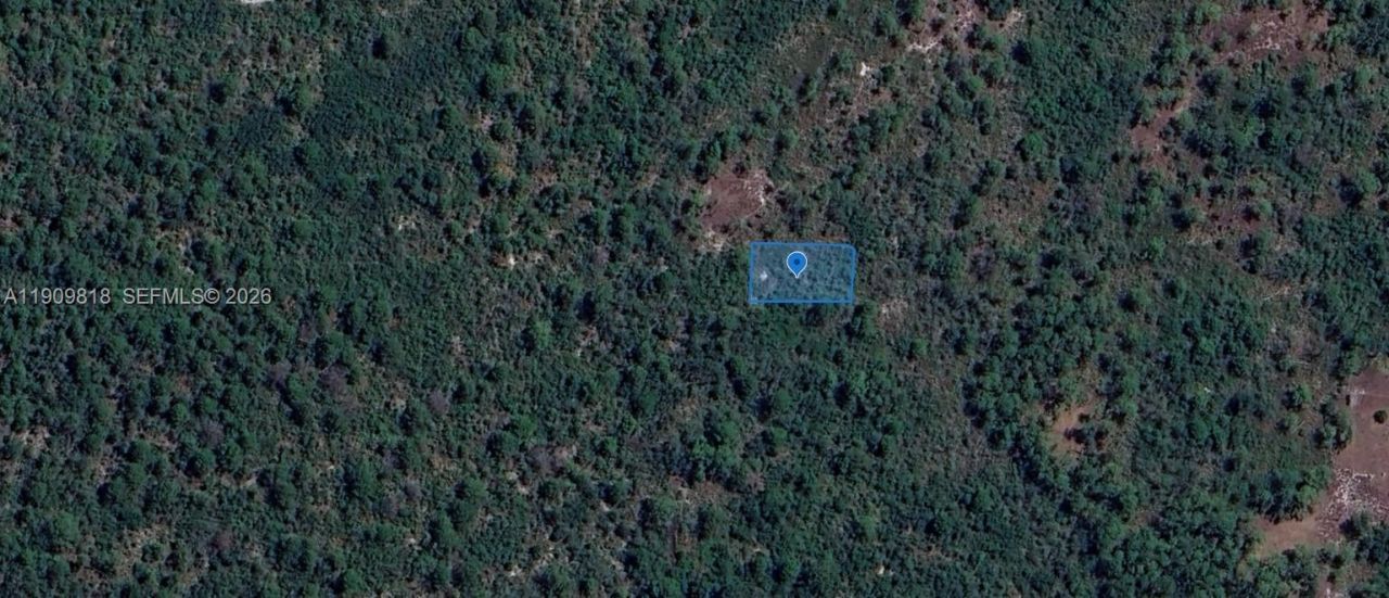 305 Dolly Lane, Lake Placid, FL 33852 Photo