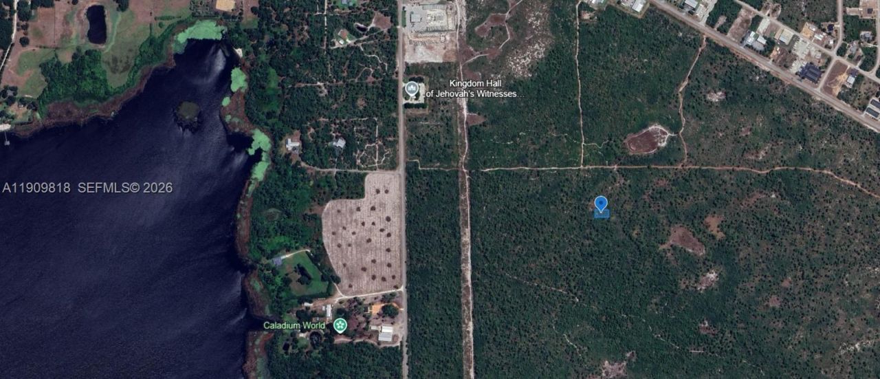305 Dolly Lane, Lake Placid, FL 33852 Photo
