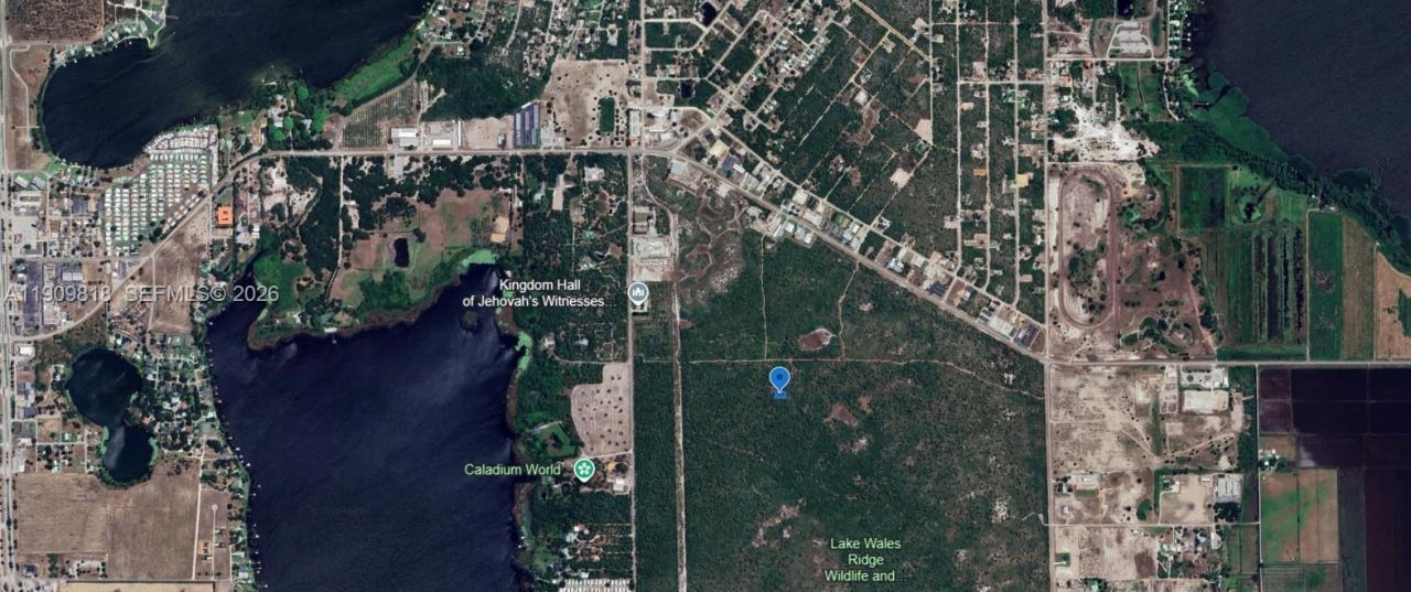 305 Dolly Lane, Lake Placid, FL 33852 Photo