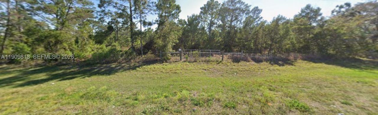 305 Dolly Lane, Lake Placid, FL 33852 Photo