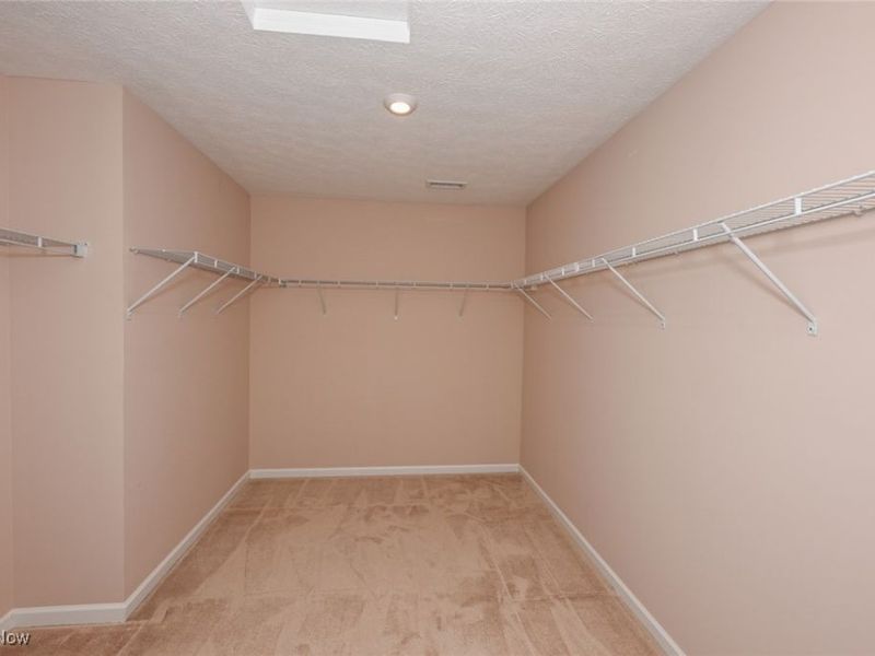 3784 Firethorn Drive, Aurora, OH 44202 Photo 22