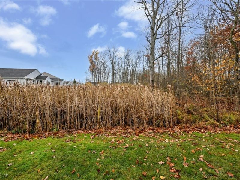 3784 Firethorn Drive, Aurora, OH 44202 Photo 41