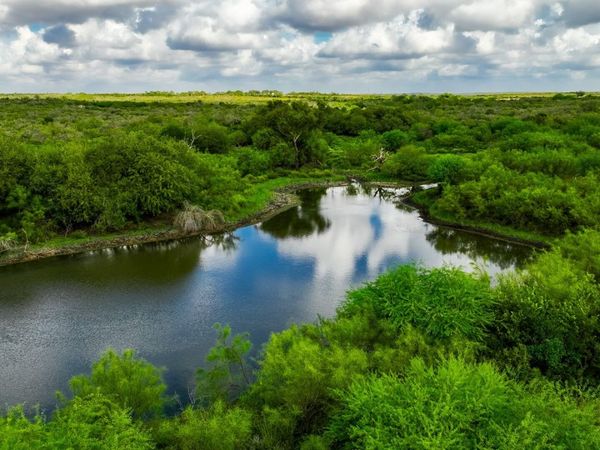 12937 FM 743, Kenedy, TX 78119