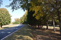 2004 Rolling Hills Road photo 4