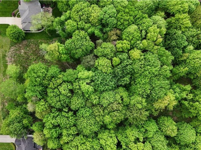 Loxley Drive, Richmond Heights, OH 44143 Photo 12