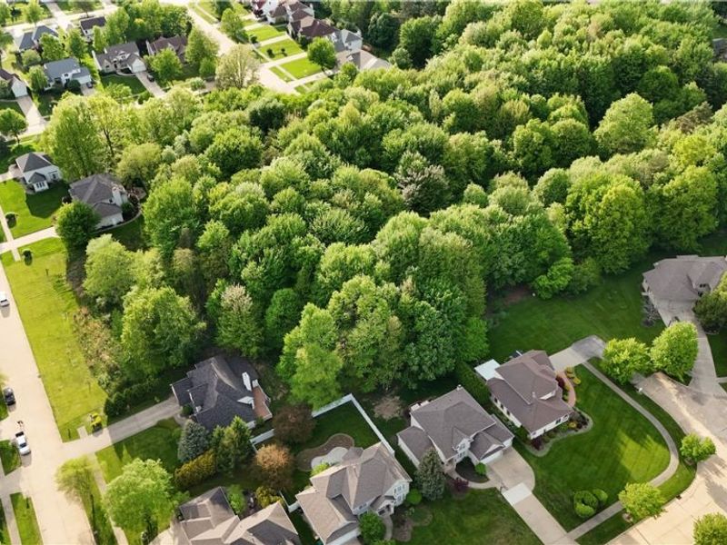 Loxley Drive, Richmond Heights, OH 44143 Photo 7