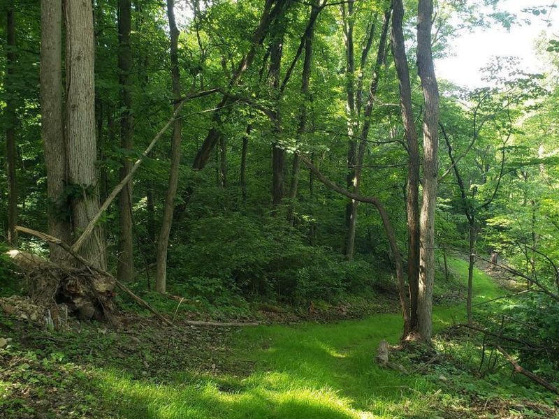 0 Mulberry Road, Mount Perry, OH 43760 Photo 10