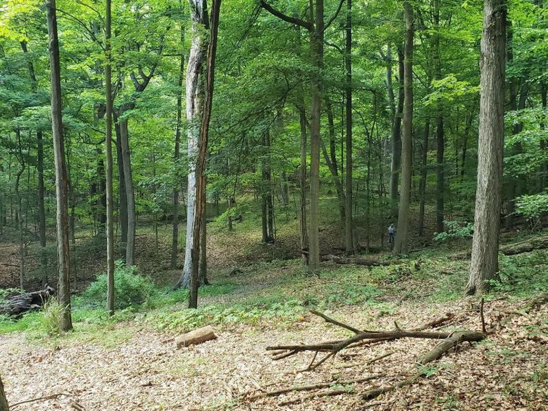 0 Mulberry Road, Mount Perry, OH 43760 Photo 11