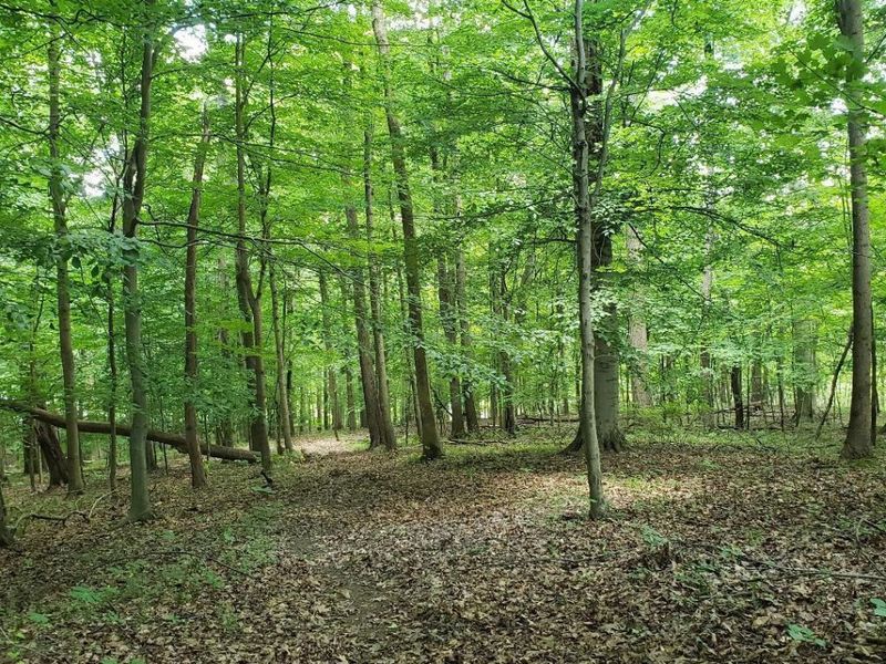 0 Mulberry Road, Mount Perry, OH 43760 Photo 12